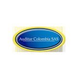 1 auditar2ç